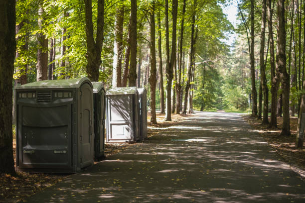 Affordable portable toilet rental in Mahnomen, MN